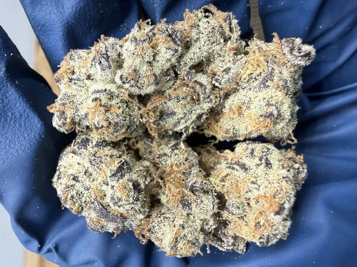 Purple Sticky Punch Flower